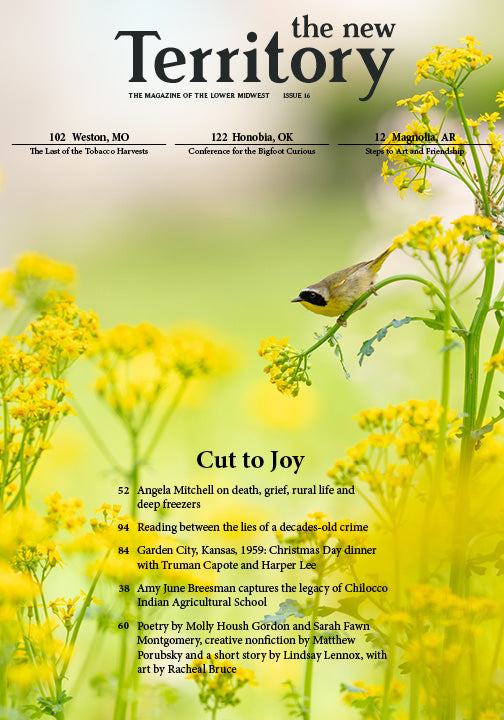 Issue 16: Cut to Joy, digital