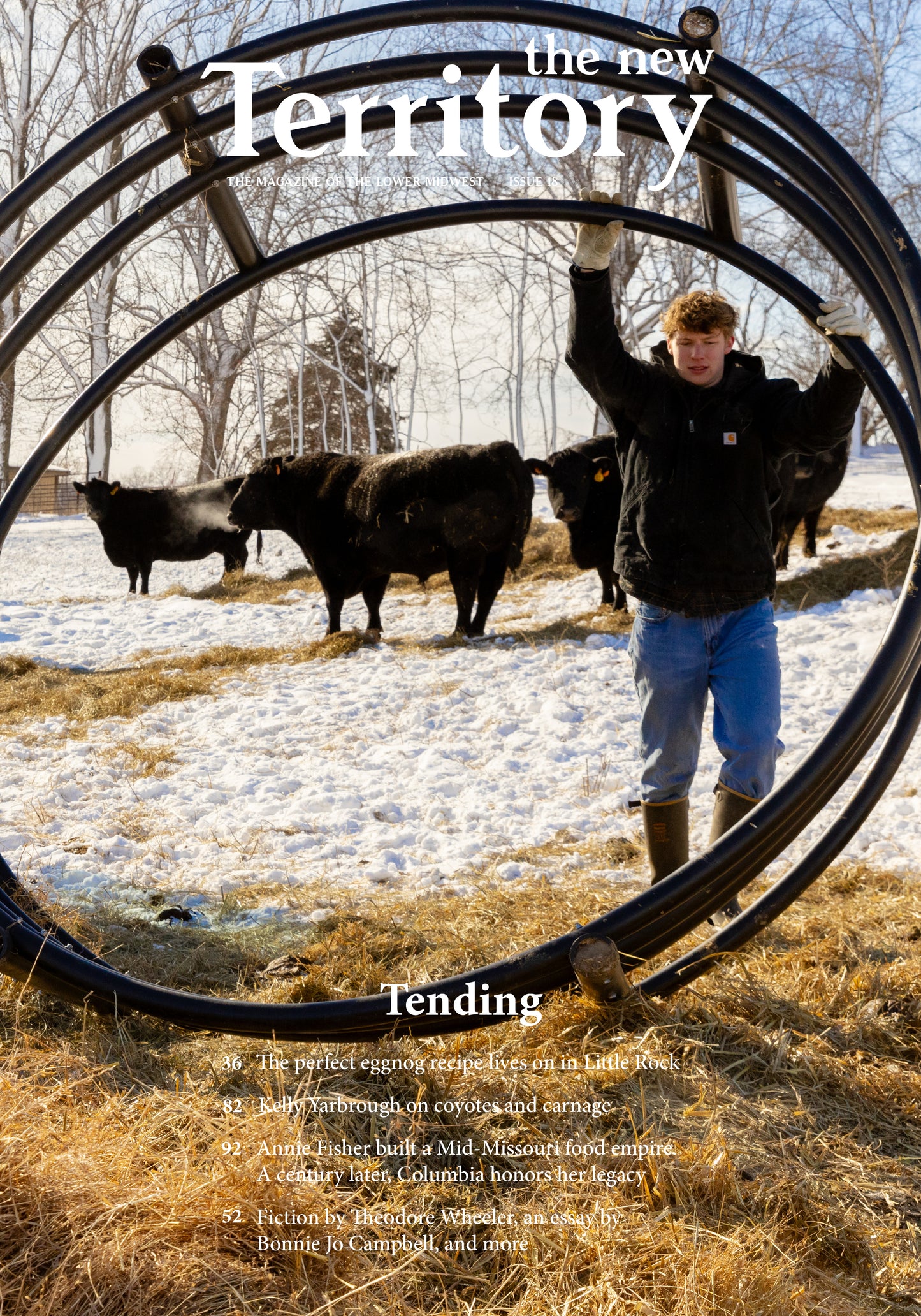 Pre-order Issue 18: Tending, digital