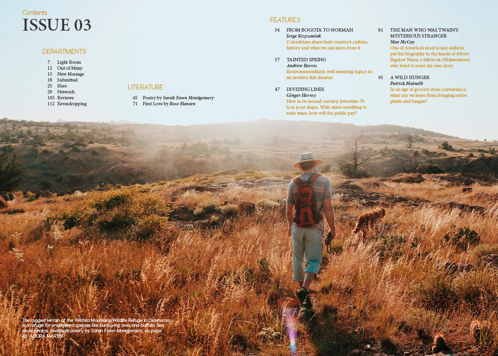 Issue 03: Double Take, digital