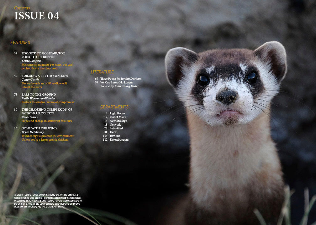 Issue 04: Coexisting, digital