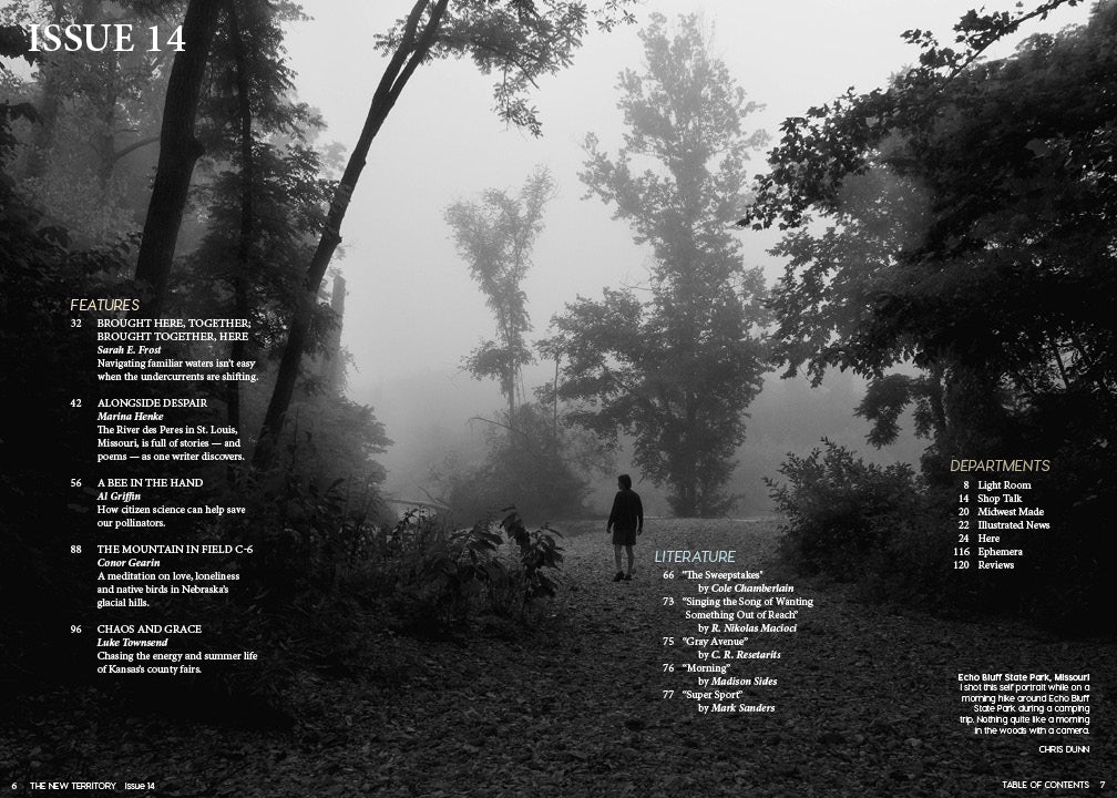 Issue 14: Recovery