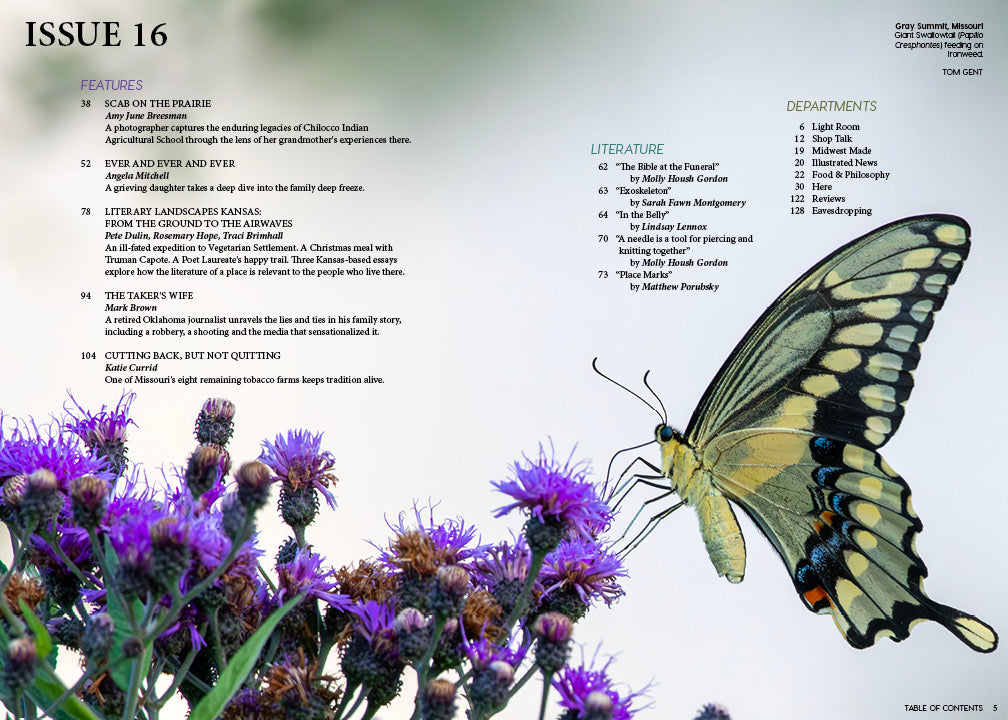 Issue 16: Cut to Joy, digital