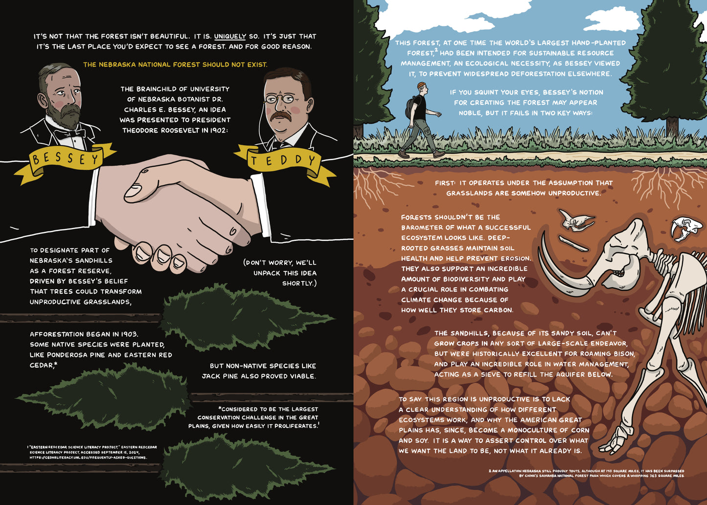 Issue 17: What We're Made Of