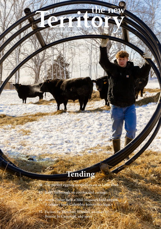 Pre-order Issue 18: Tending