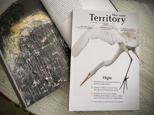 Issue 12: Flight