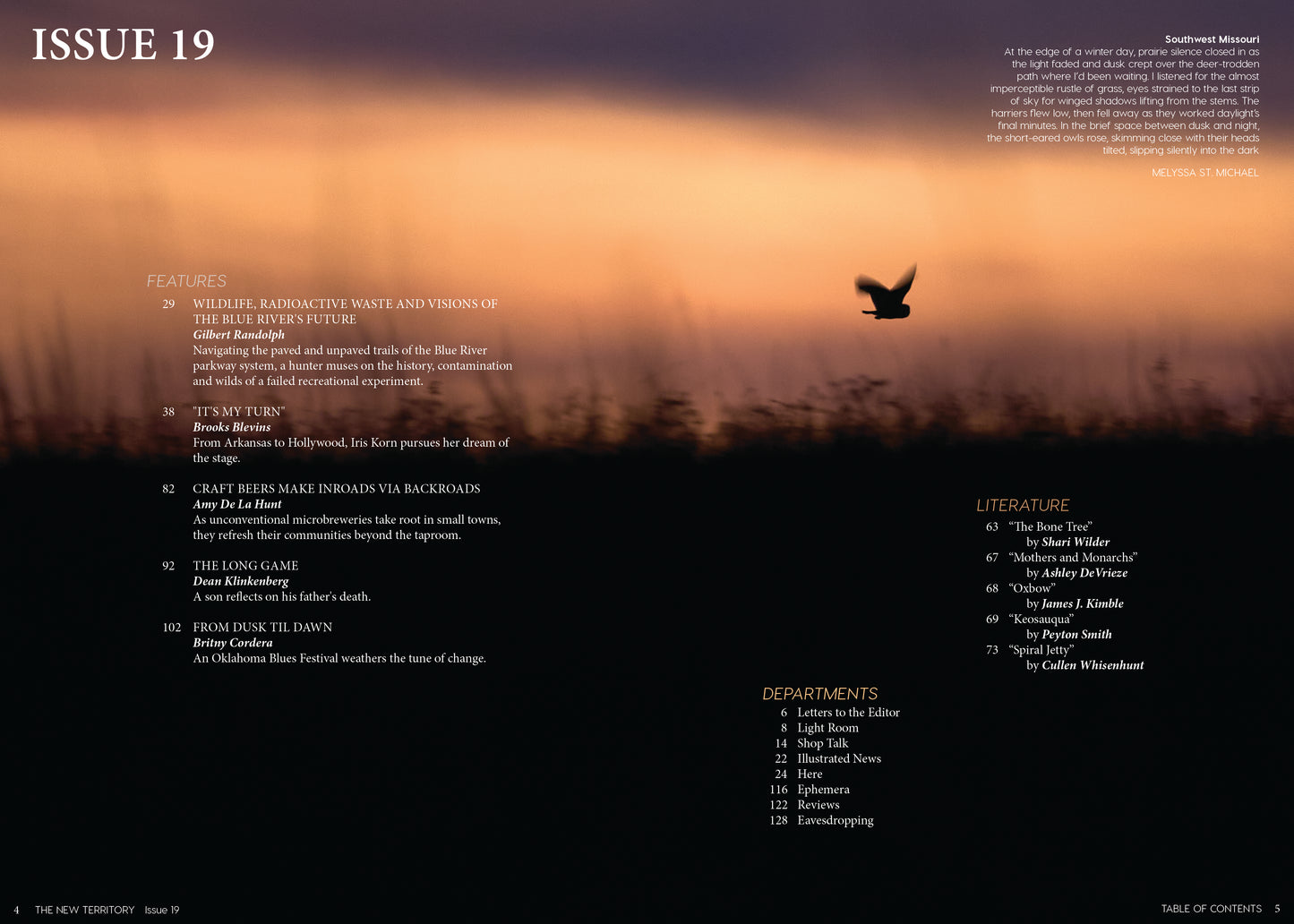 Issue 19: Turns Of Blue
